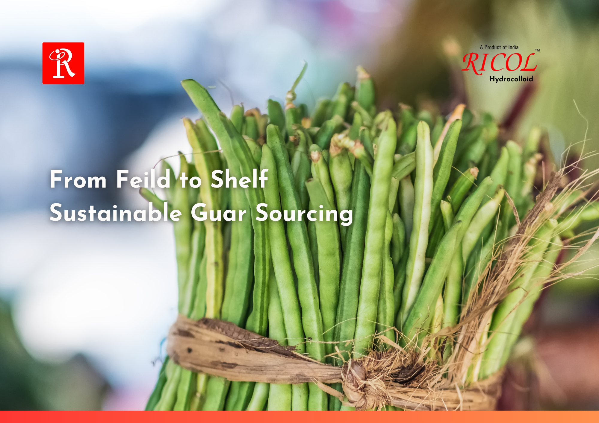 Organic Guar Gum Powder: A Sustainable Guar Drive by Rama Gum Industries India Ltd.